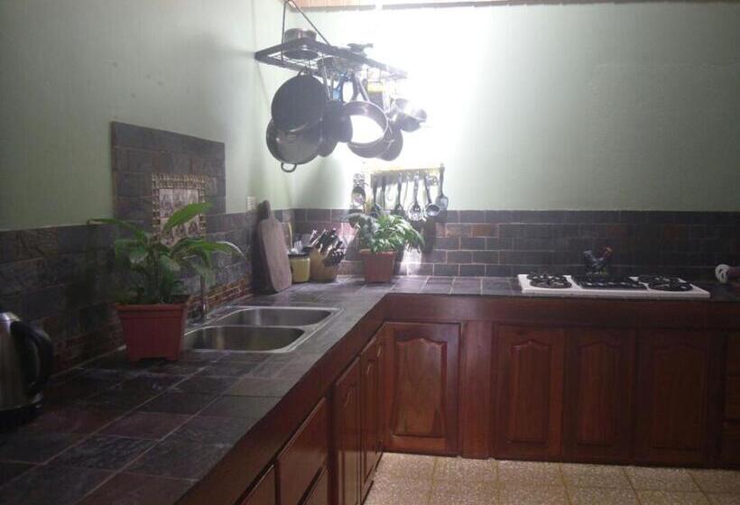 هاستل Rio Celeste Backpackers