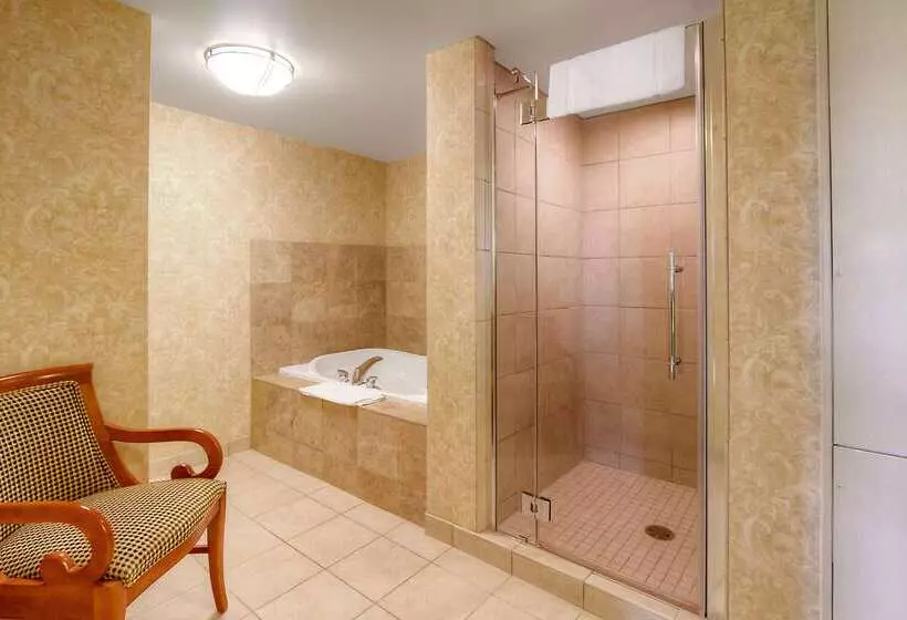 ホテル Hilton Garden Inn Great Falls