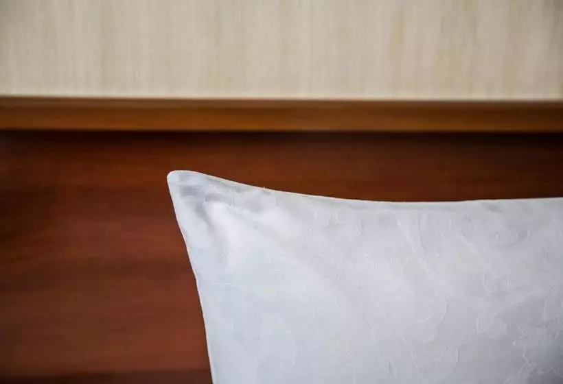 酒店 Tatarstan Business