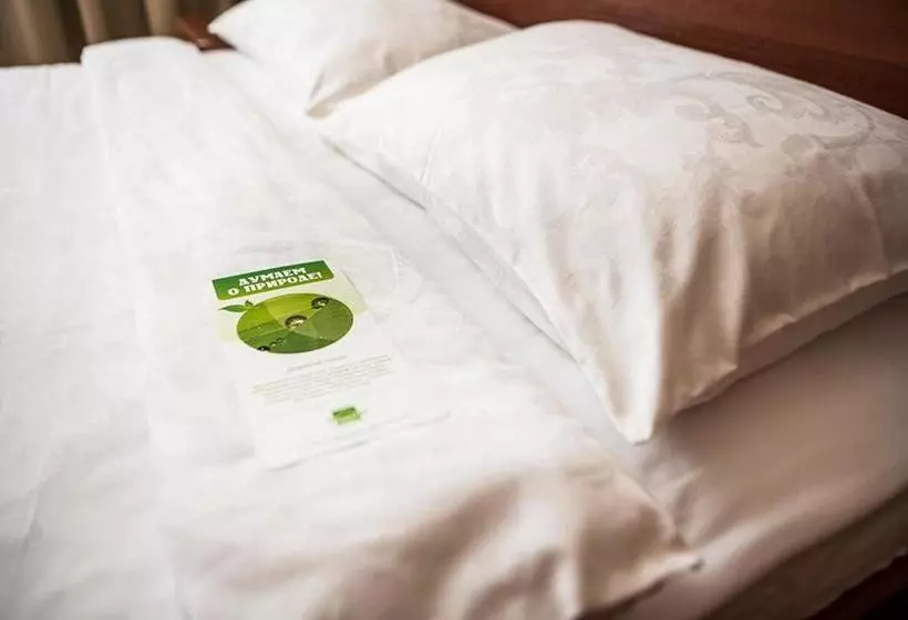 酒店 Tatarstan Business