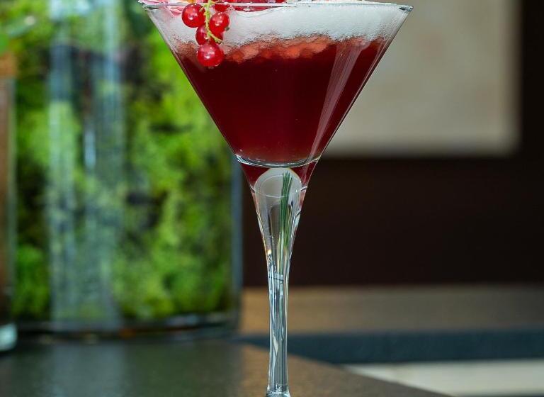 Winter Garden Hotel Bergamo Airport