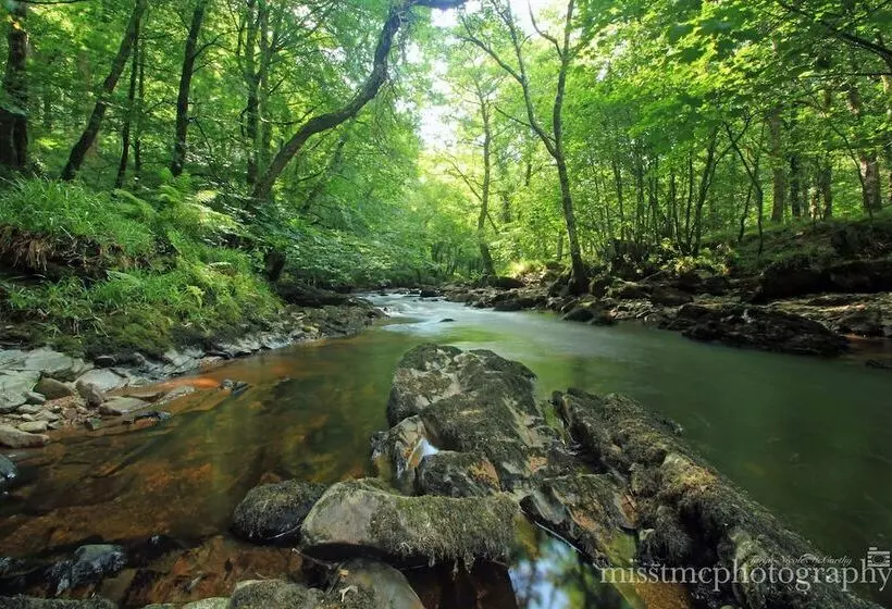 Dartmoor Reach Alpaca Farm
