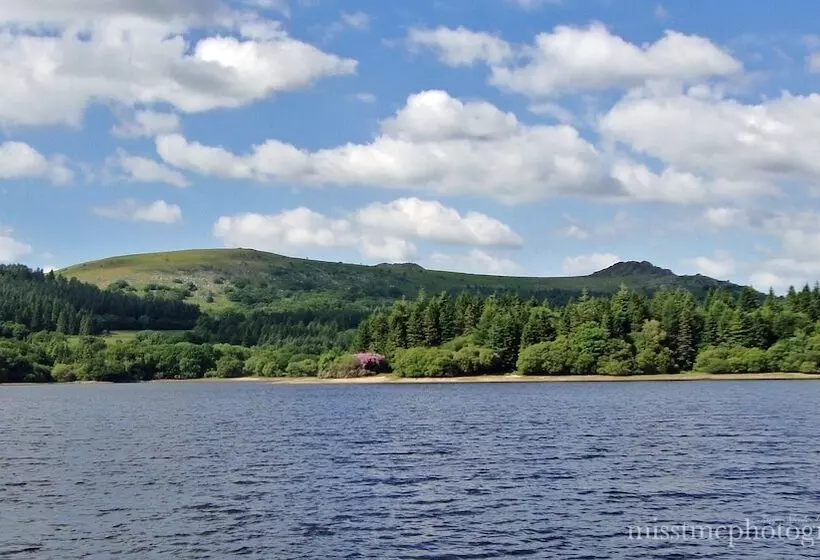 Dartmoor Reach Alpaca Farm