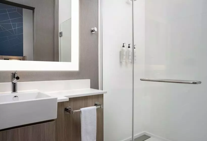 ホテル Springhill Suites By Marriott Birmingham Gardendale