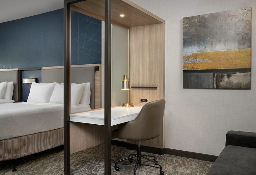 酒店 Springhill Suites By Marriott Birmingham Gardendale