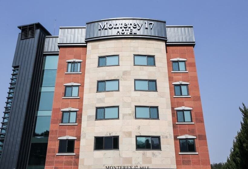 מוטל Yongin Monterey 17