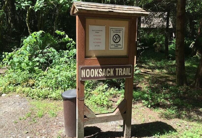 Mt Baker Lodging Cabin 29   Sleeps 11