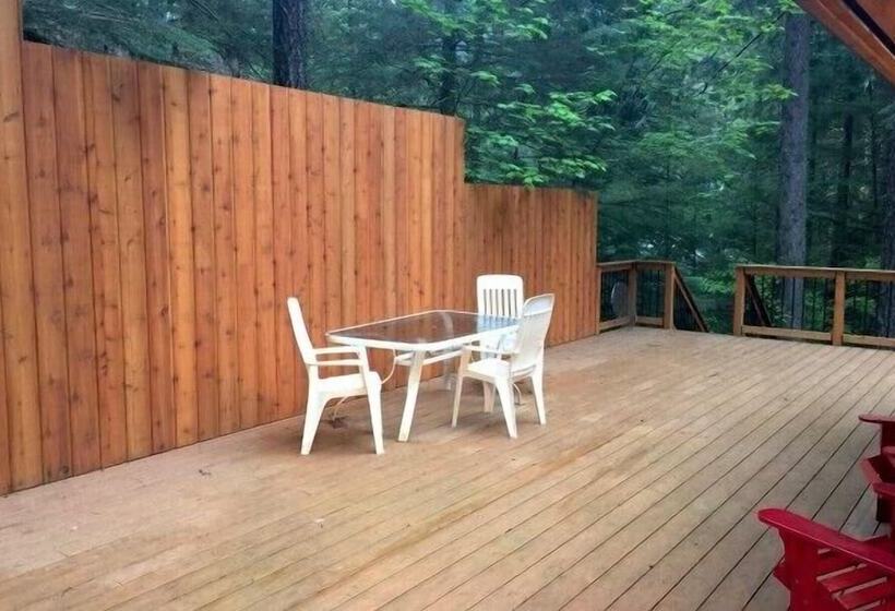 Mt Baker Lodging Cabin 29   Sleeps 11