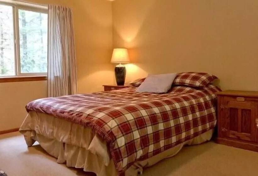 Mt Baker Lodging Cabin 29   Sleeps 11