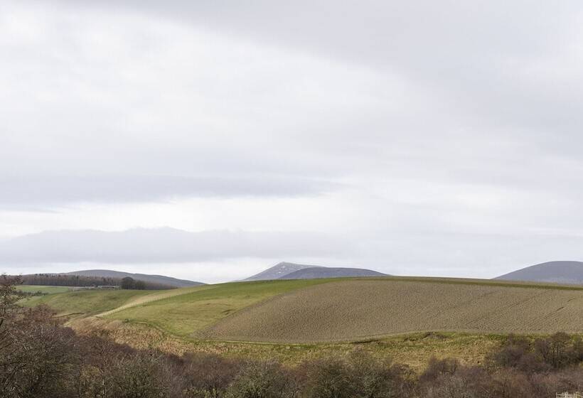 The Milking Sheds, Dufftown