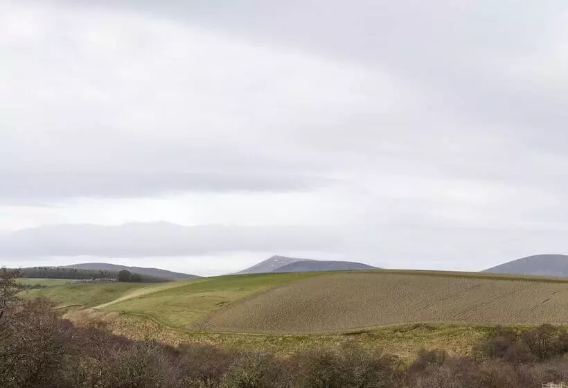 The Milking Sheds, Dufftown