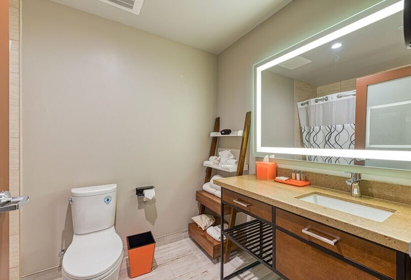 酒店 Lexen Newhall