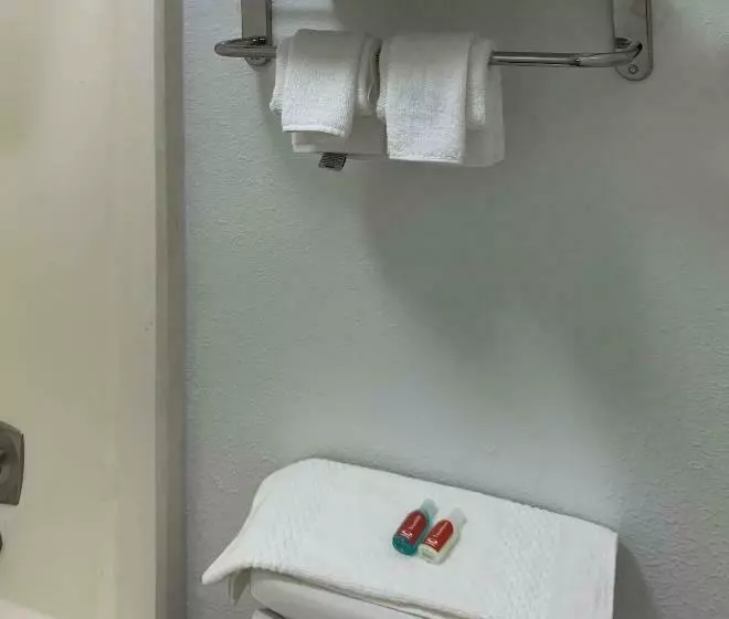 モーテル Rodeway Inn