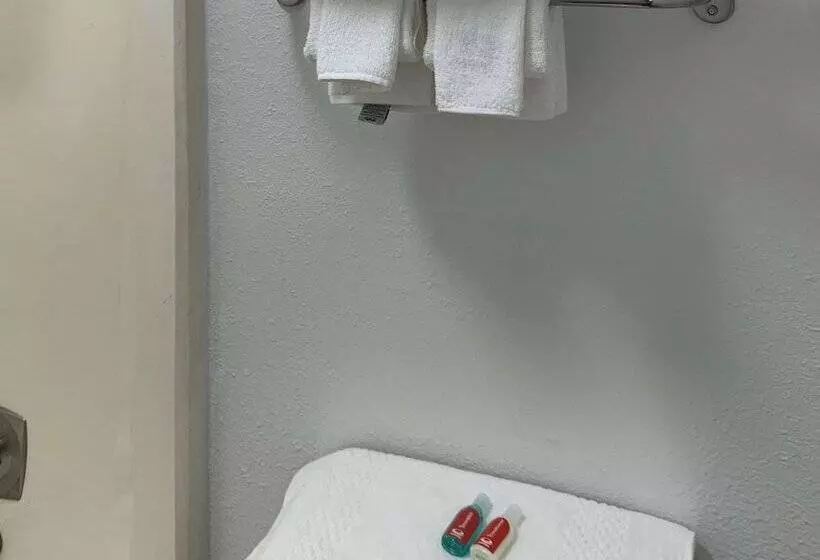 モーテル Rodeway Inn