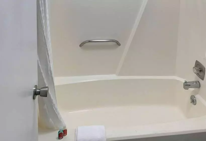 モーテル Rodeway Inn