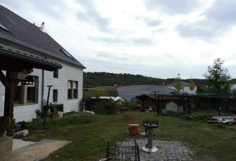 ペンション Chambres D Hôtes Du Stockgarten