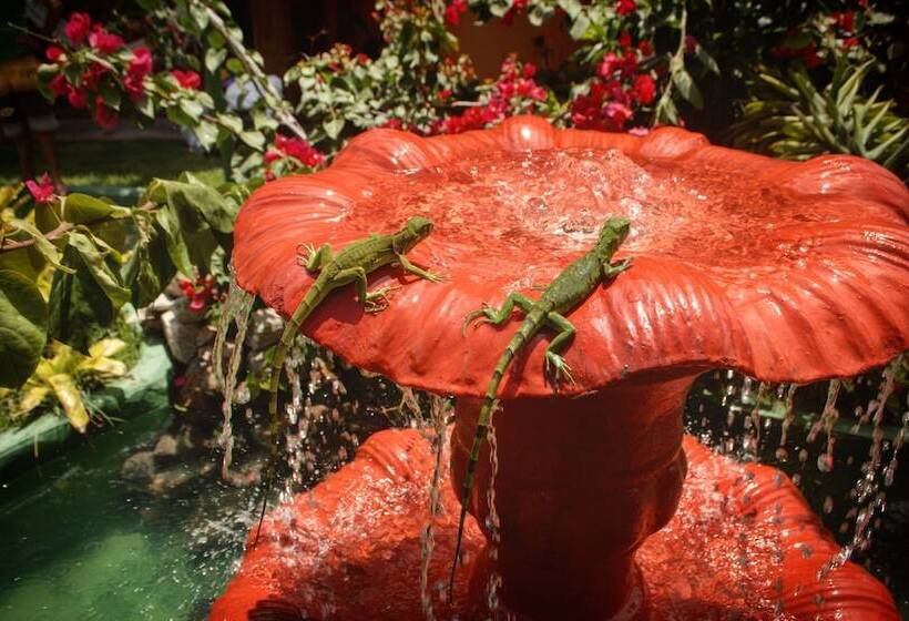 호텔 Naquela Jericoacoara