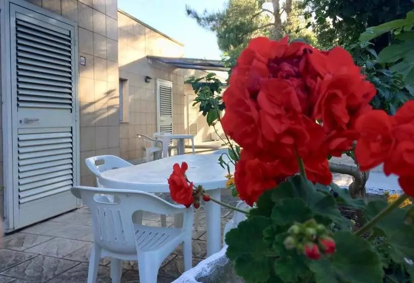Hotel Racar