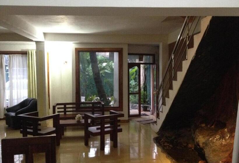 Общежитие Mount View Inn