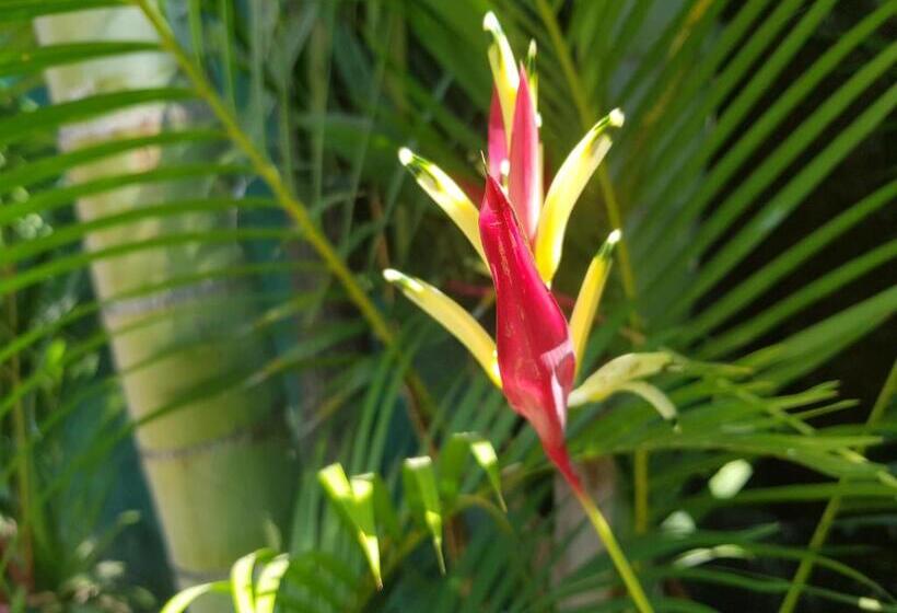 Общежитие Mount View Inn