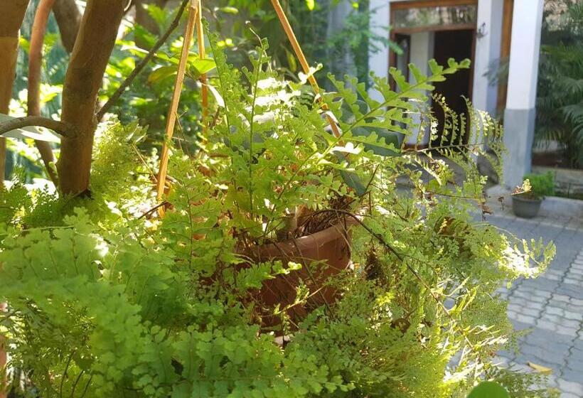 Общежитие Mount View Inn