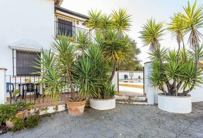 膳宿费 Complejo Turistico El álamo