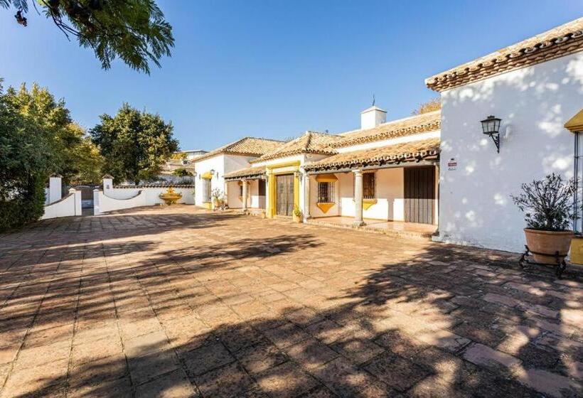 膳宿费 Complejo Turistico El álamo