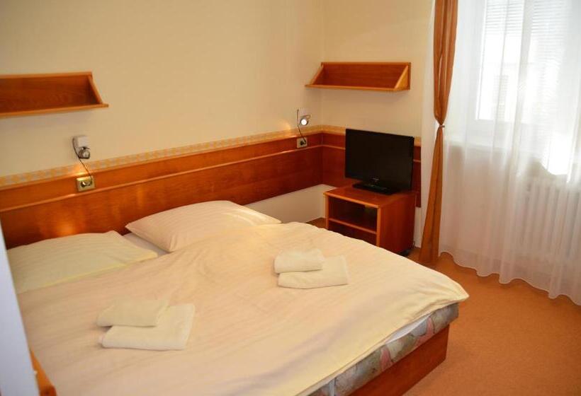 Pensjonat Penzion Fontis Terrae