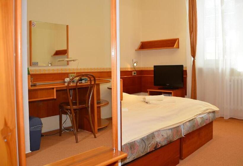 Pensjonat Penzion Fontis Terrae