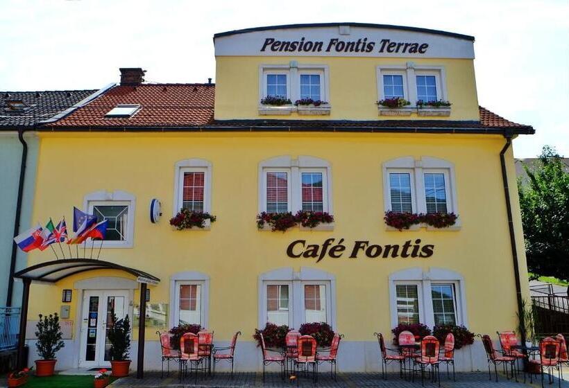 Pensjonat Penzion Fontis Terrae