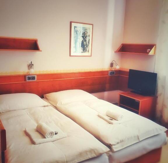 Pensjonat Penzion Fontis Terrae