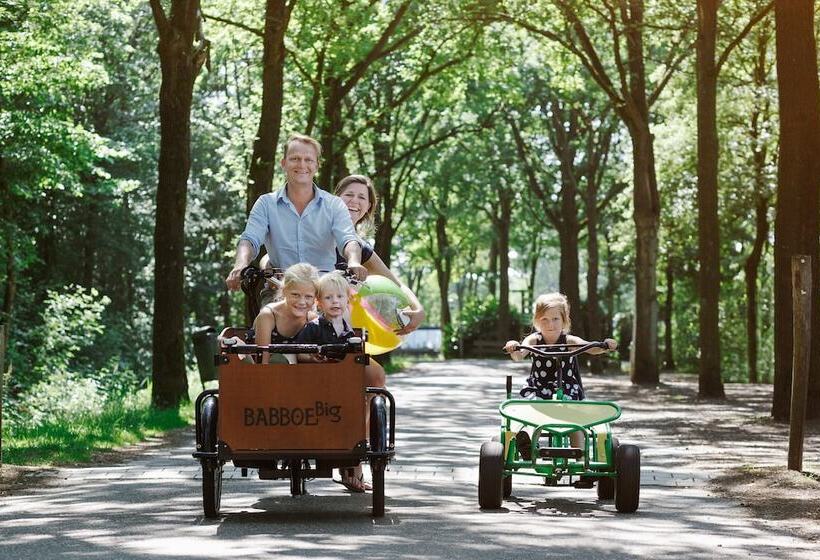 Курорт Vakantiepark Dierenbos