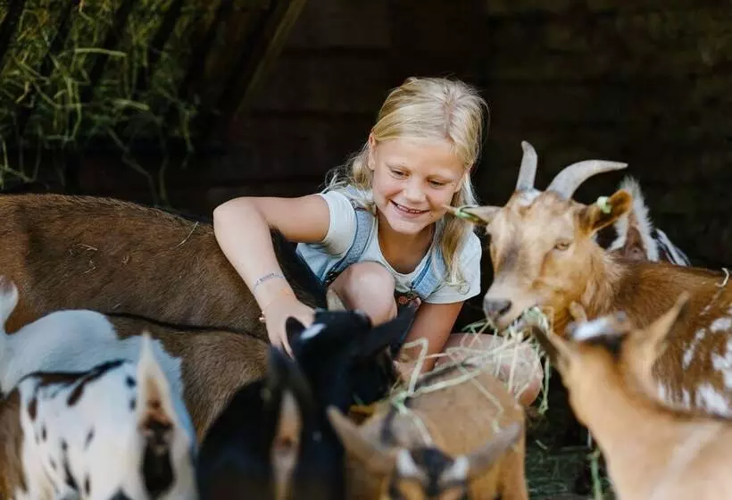 Lomakeskus Vakantiepark Dierenbos