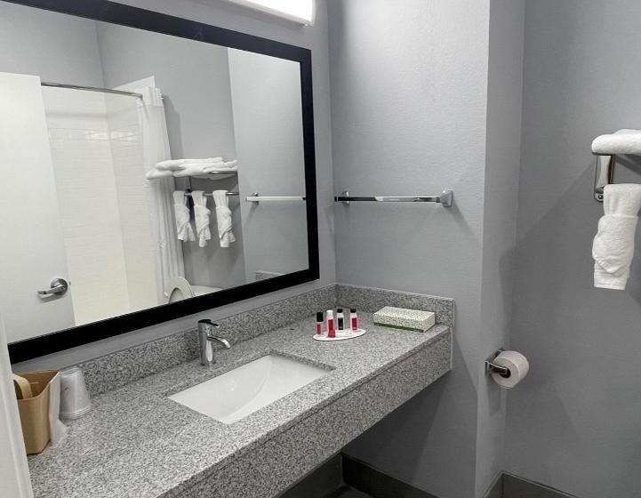 酒店 Days Inn By Wyndham Zachary La