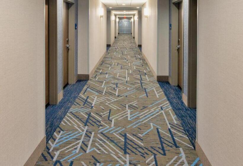 Отель Holiday Inn Express & Suites   Harrisonburg University Area , An Ihg