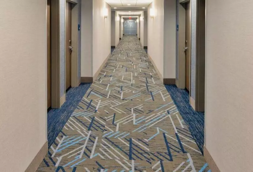 ホテル Holiday Inn Express & Suites   Harrisonburg University Area , An Ihg