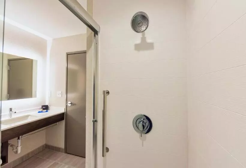 ホテル Holiday Inn Express & Suites   Harrisonburg University Area , An Ihg