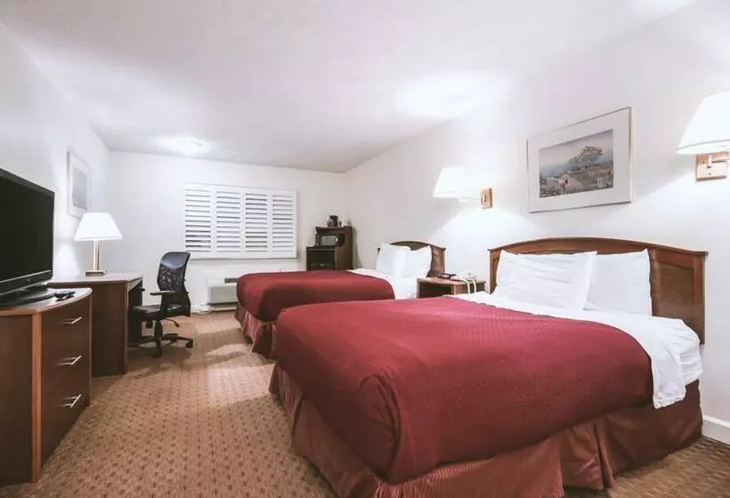 ホテル Sky Palace Inn & Suites Mccook