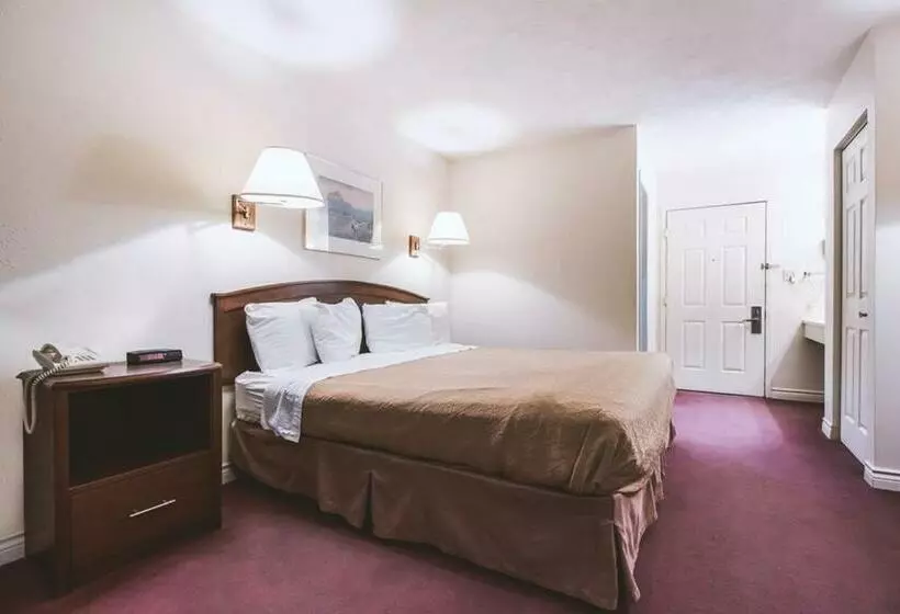 ホテル Sky Palace Inn & Suites Mccook