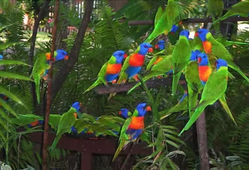 استراحتگاه Discovery Parks  Mackay