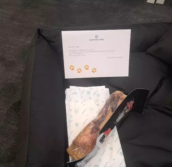 Grand Focus Hotel Szczecin