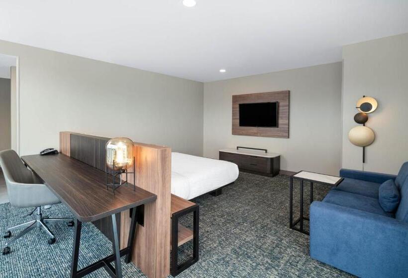 هتل La Quinta Inn & Suites By Wyndham Nashville Downtown Stadium