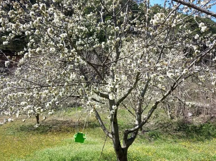 Immaculate 2 Bed Cottage Near Krka Waterfalls