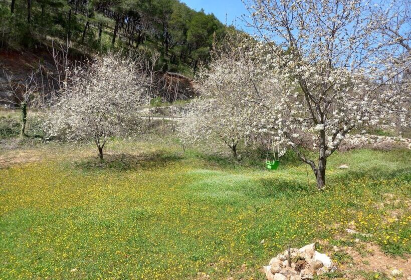 Immaculate 2 Bed Cottage Near Krka Waterfalls