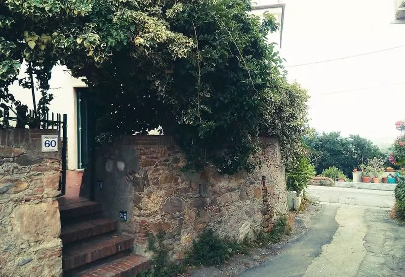 レジデンス Wonderful Artist S House In The Heart Of Tuscany