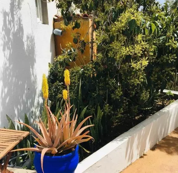 Apartamentos Y Habitaciones Villa Marina