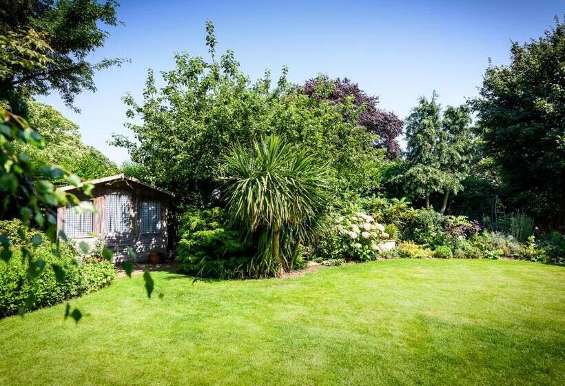 مبيت وإفطار Barnard House