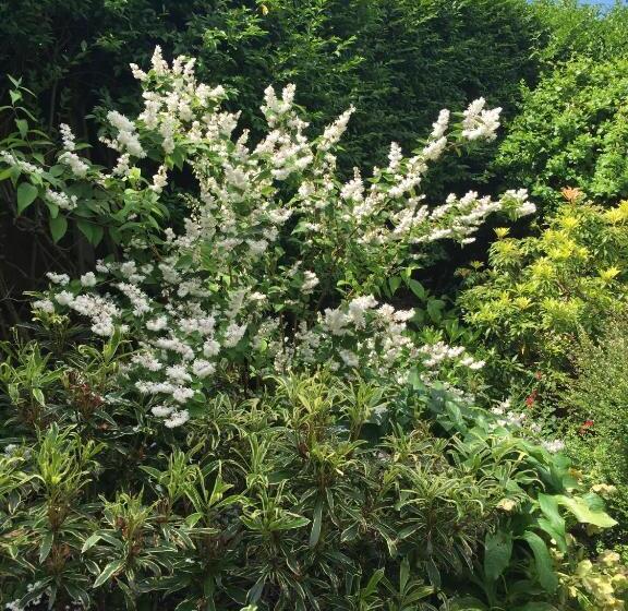 مبيت وإفطار Barnard House