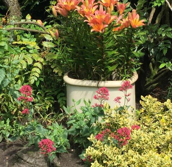 مبيت وإفطار Barnard House