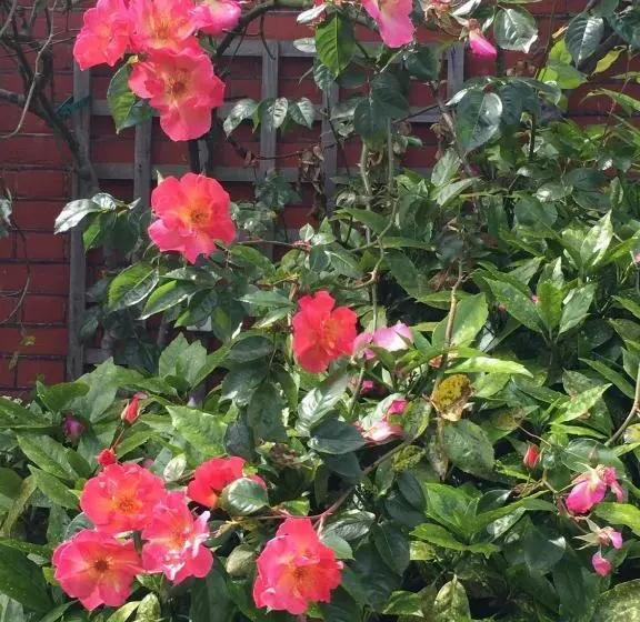 צימר Barnard House